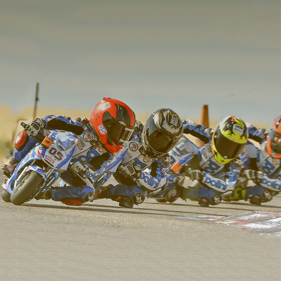 PILOTOS