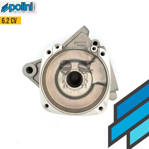 POLINI Conjunto Carter Motor 6.2Hp 910RS